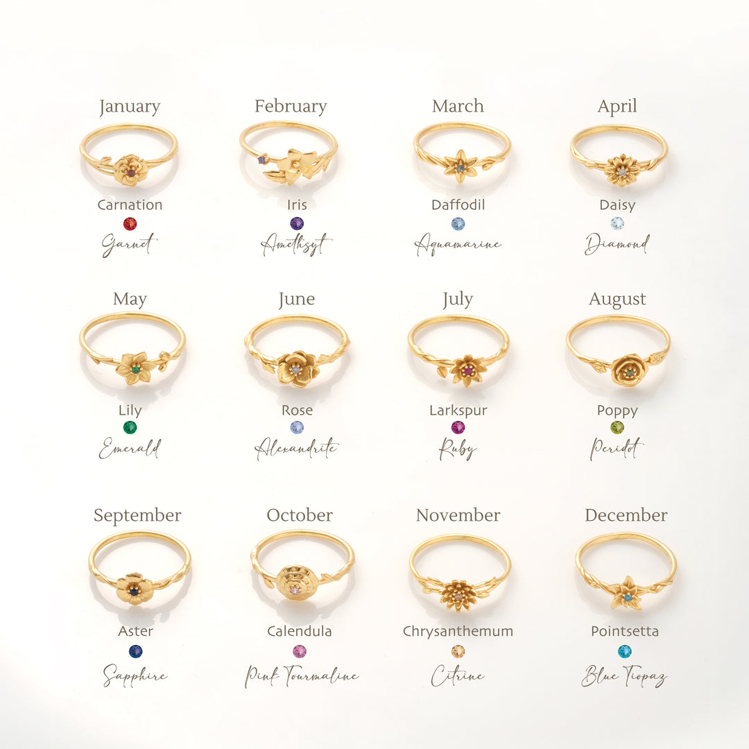 Gold rings each symbolizing a month and its corresponding birthstone on a white background.