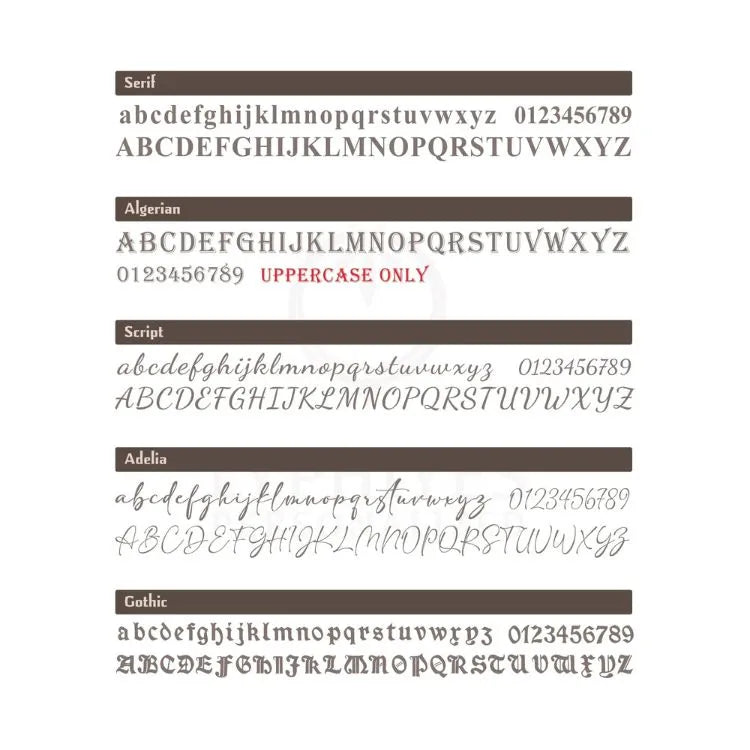 Comparison of different font styles on a white background