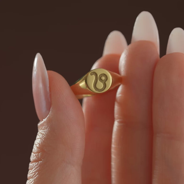 Zodiac Sign Engraved Signet Ring - video